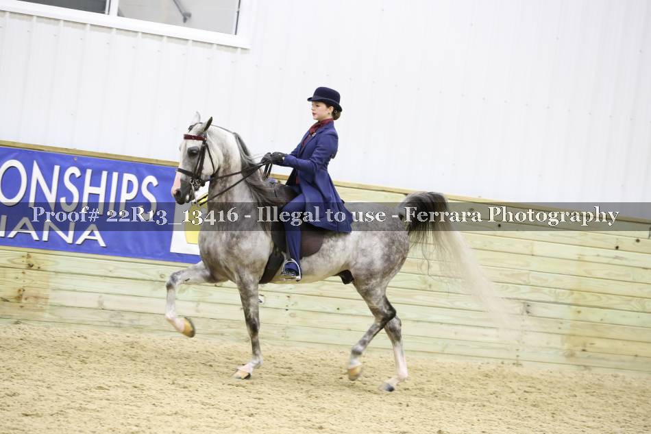 Proof 22R13_13416