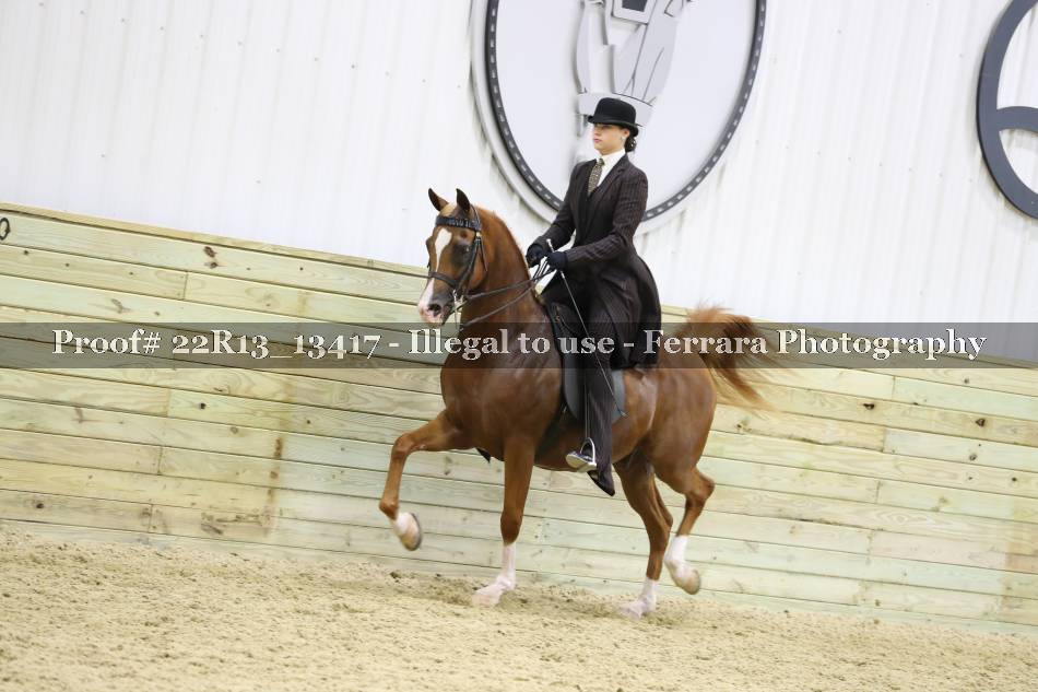 Proof 22R13_13417