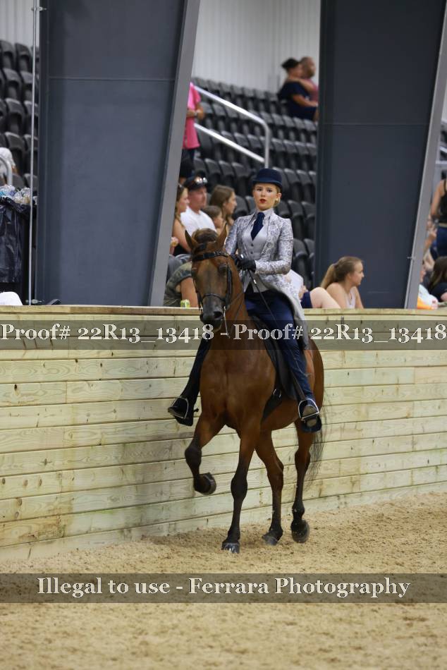 Proof 22R13_13418