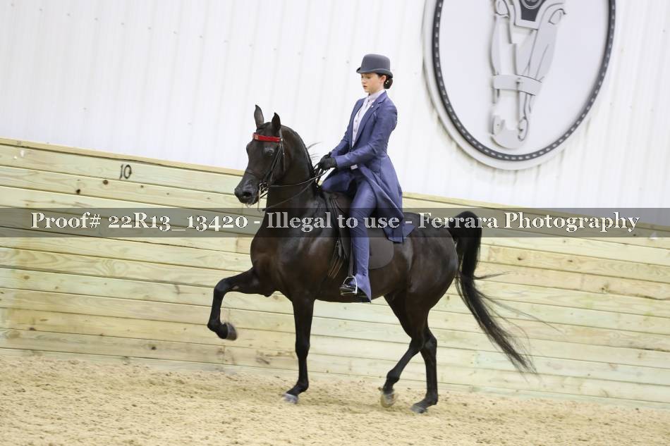 Proof 22R13_13420
