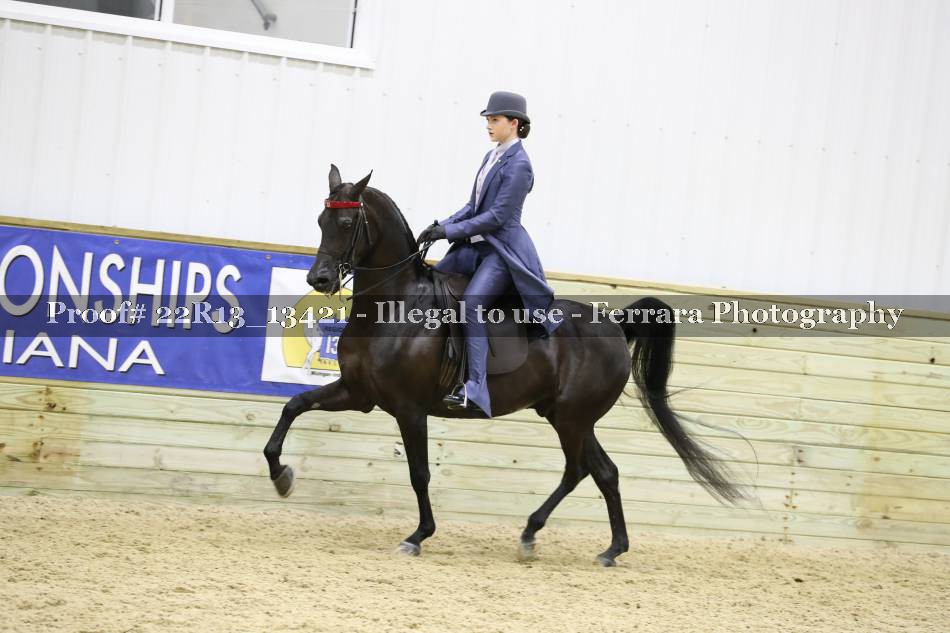 Proof 22R13_13421