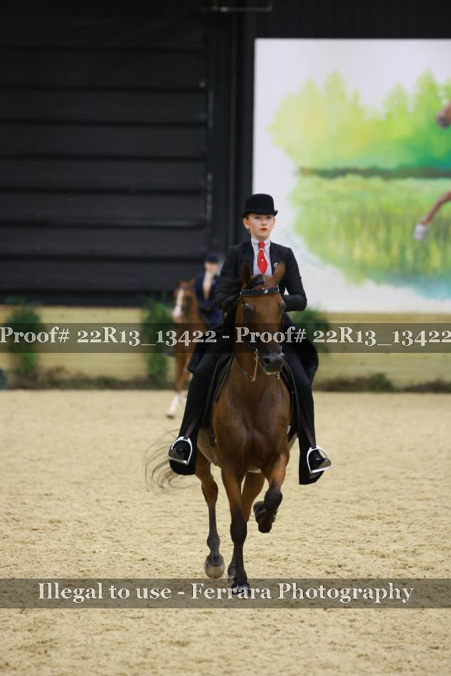Proof 22R13_13422