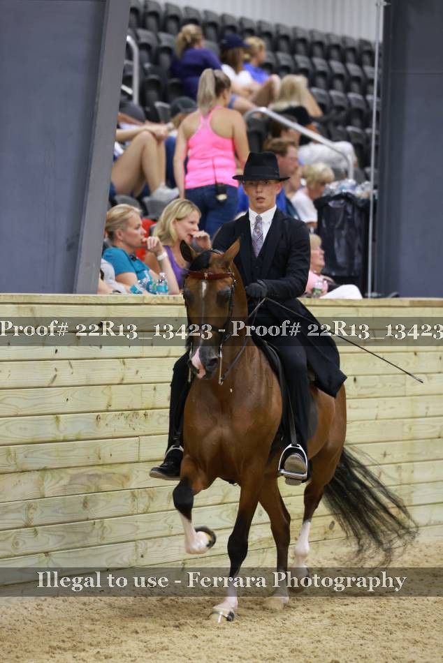 Proof 22R13_13423