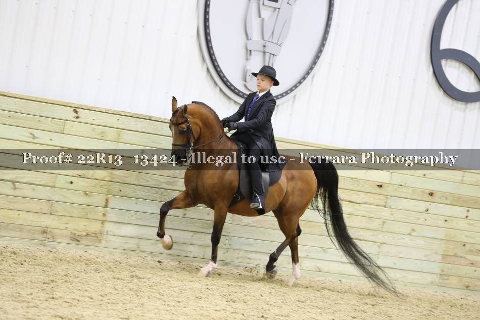 Proof 22R13_13424