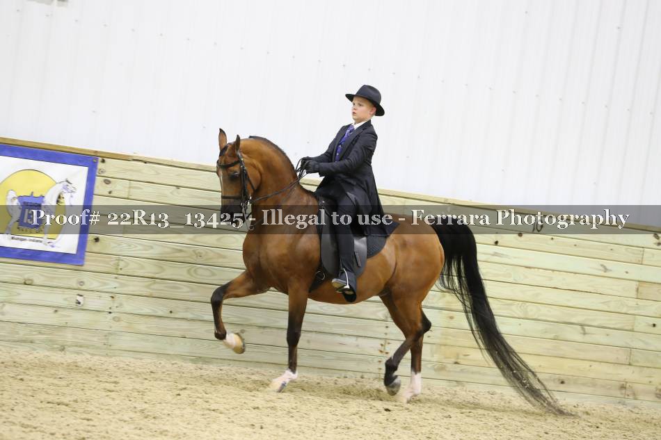 Proof 22R13_13425