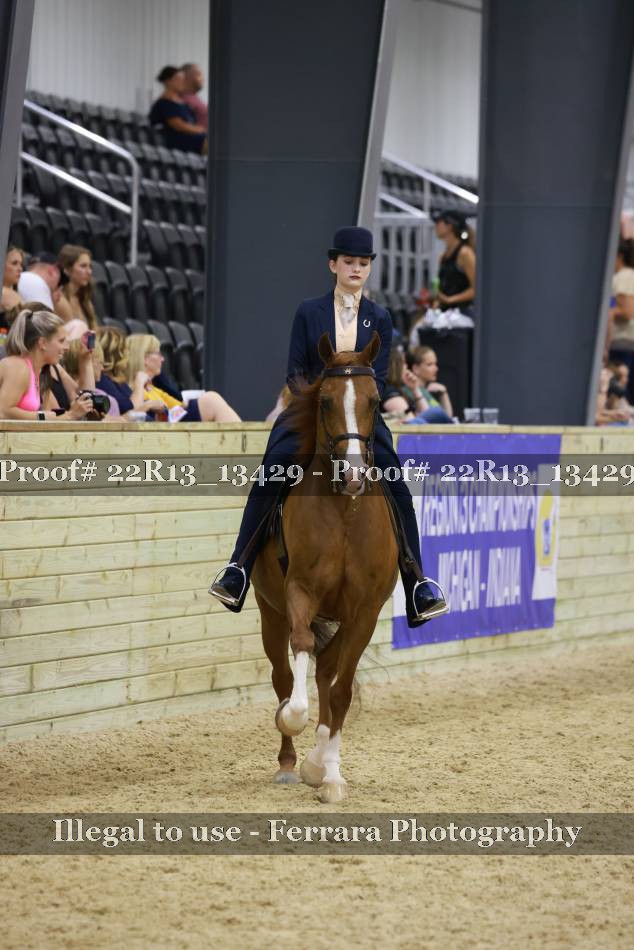 Proof 22R13_13429