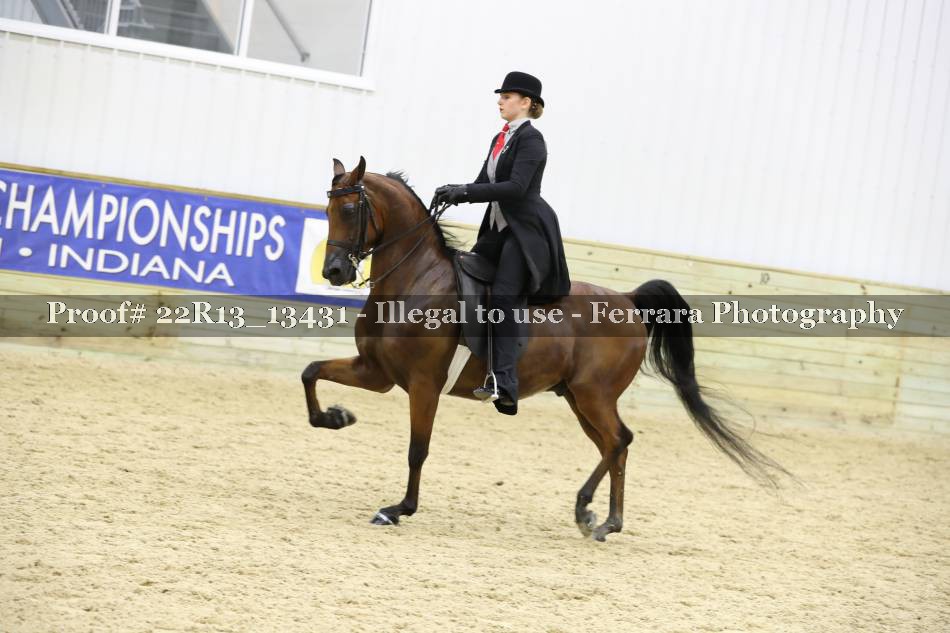 Proof 22R13_13431