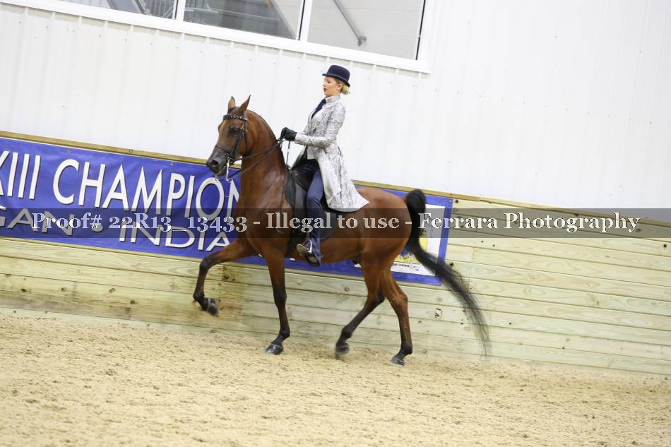 Proof 22R13_13433