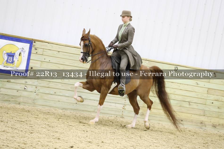 Proof 22R13_13434