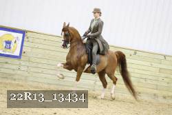 22R13_13434 proof