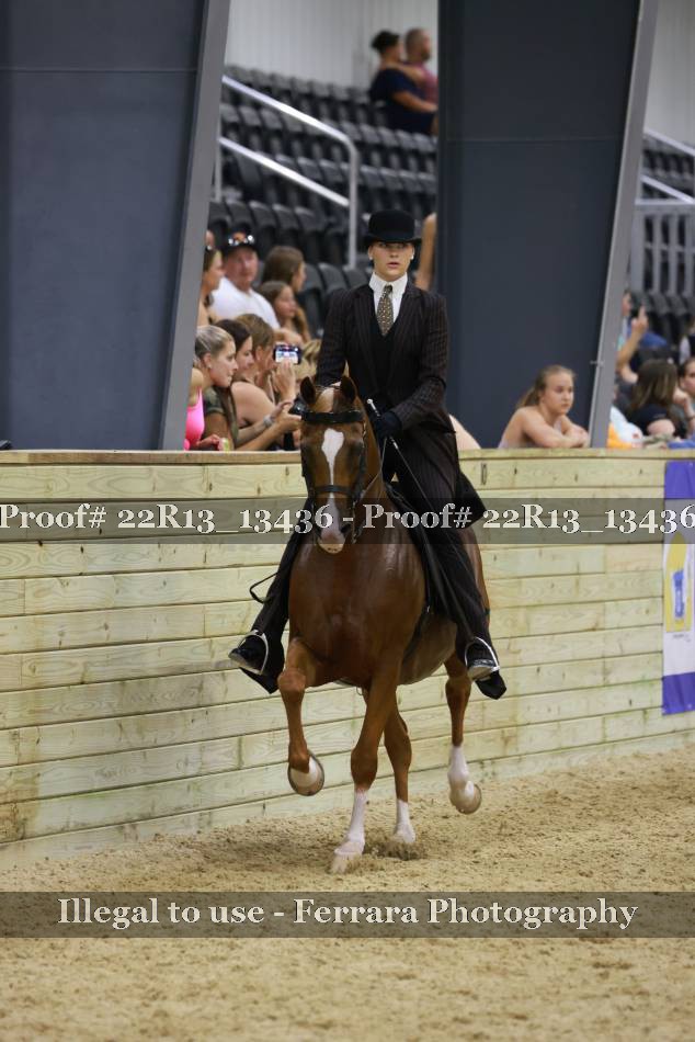 Proof 22R13_13436