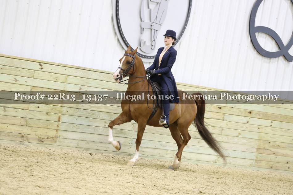 Proof 22R13_13437