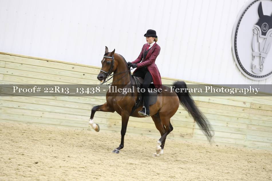 Proof 22R13_13438