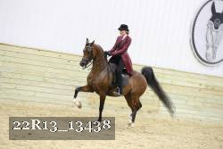 22R13_13438 proof