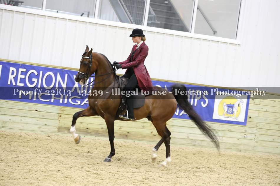 Proof 22R13_13439