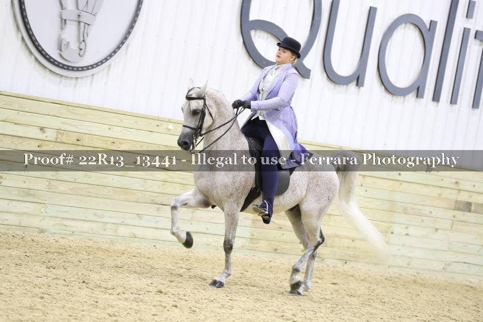 Proof 22R13_13441