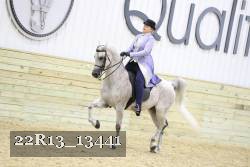 22R13_13441 proof