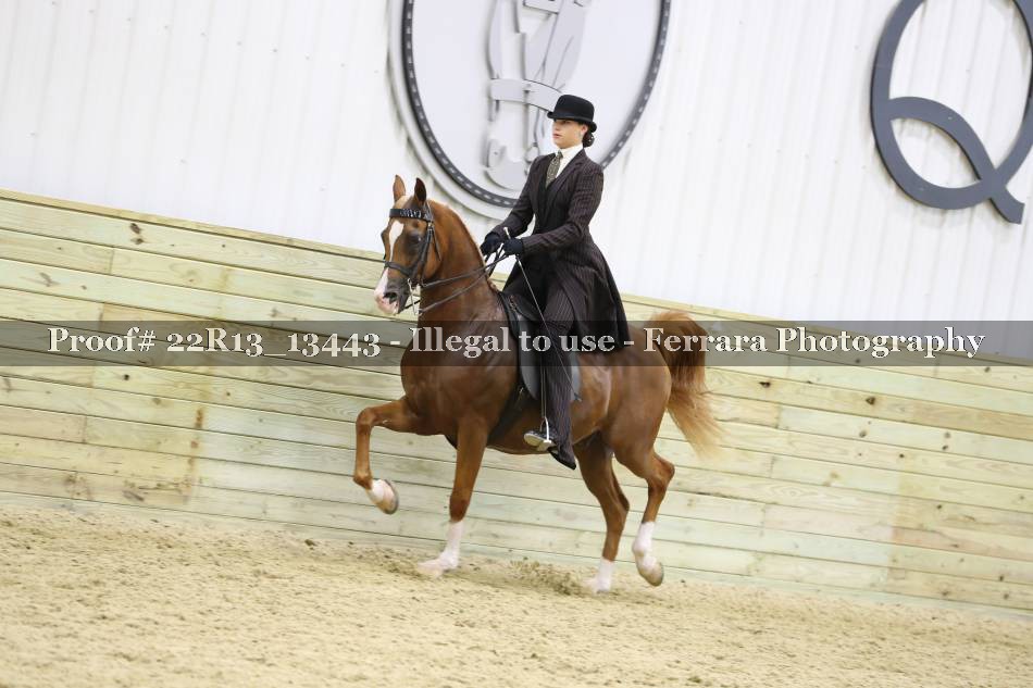 Proof 22R13_13443