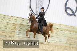 22R13_13443 proof