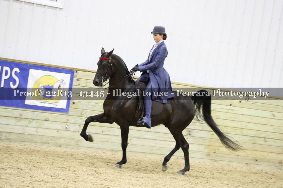 Proof 22R13_13445