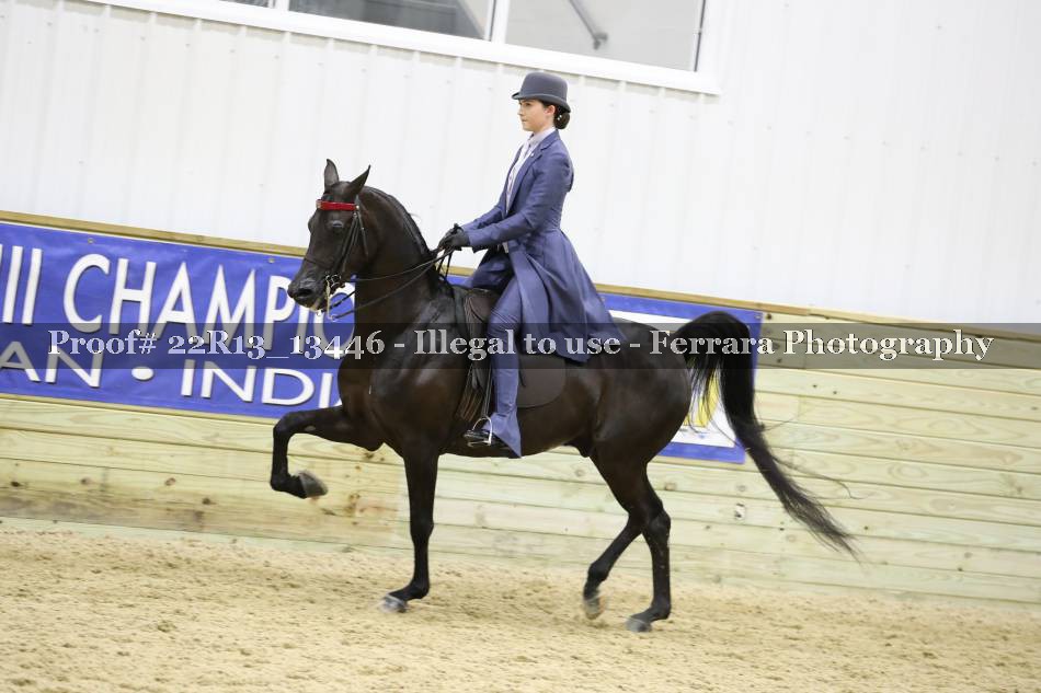 Proof 22R13_13446