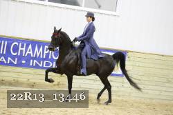 22R13_13446 proof