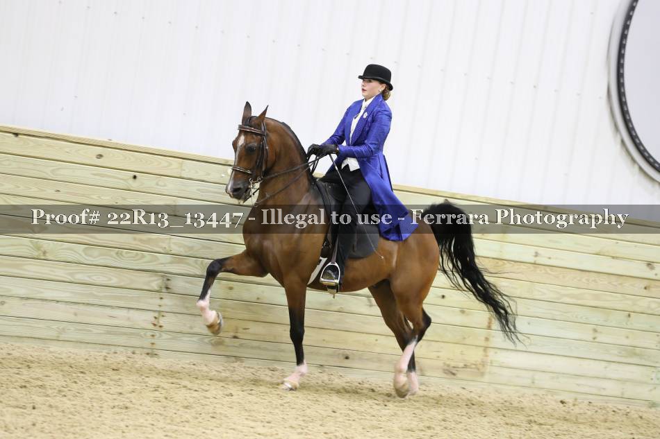 Proof 22R13_13447