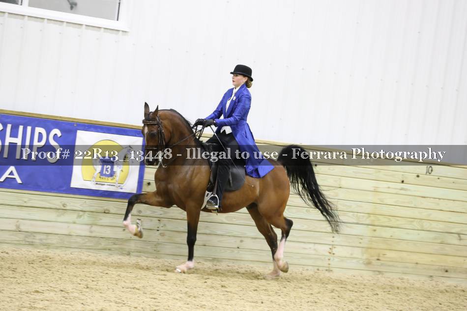 Proof 22R13_13448
