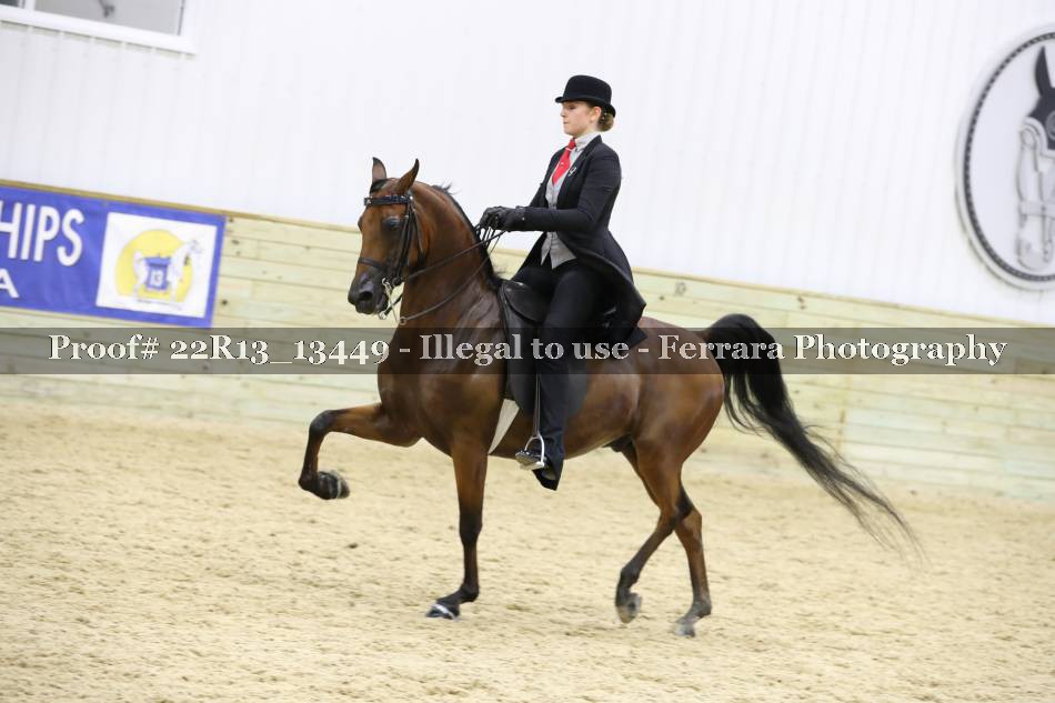 Proof 22R13_13449