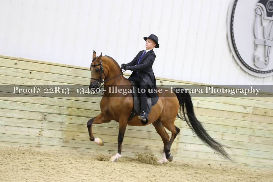Proof 22R13_13450