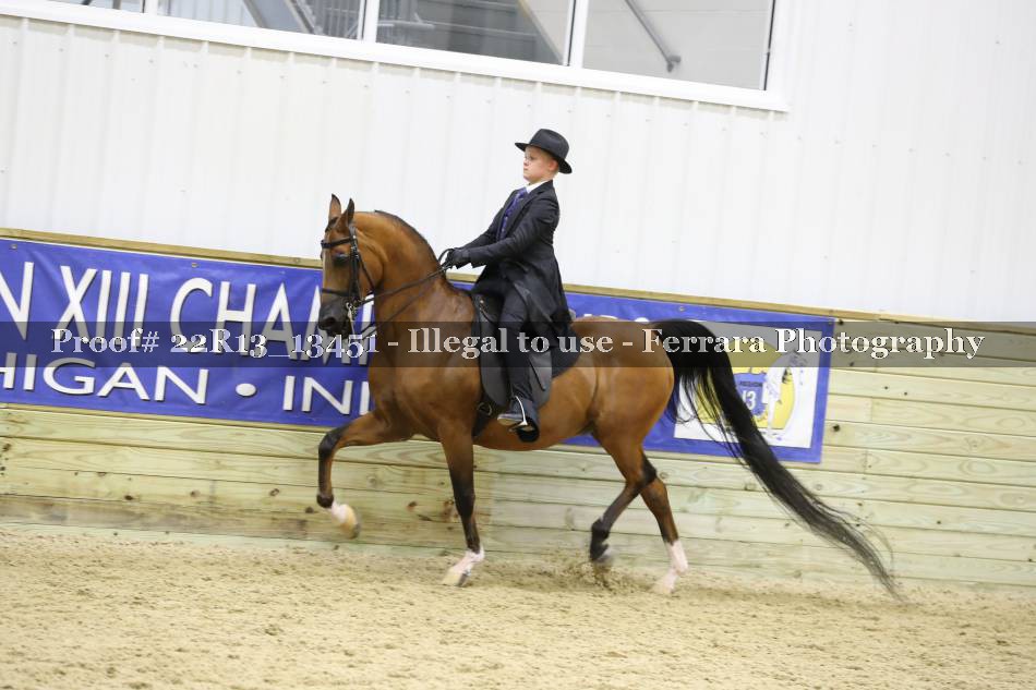 Proof 22R13_13451