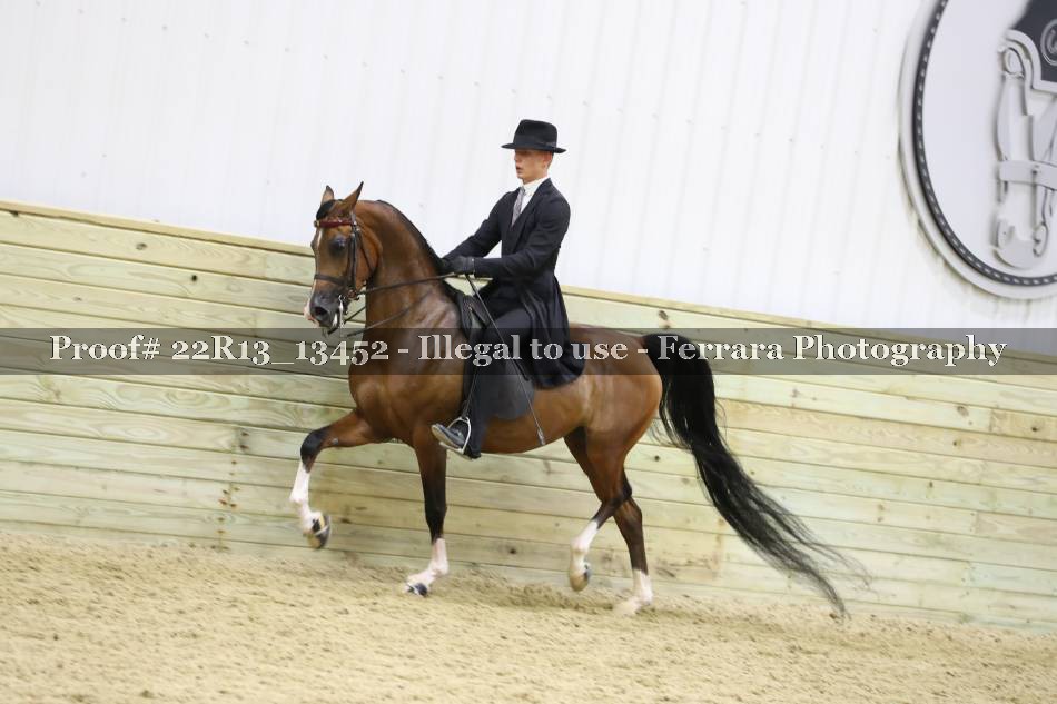 Proof 22R13_13452
