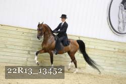 22R13_13452 proof
