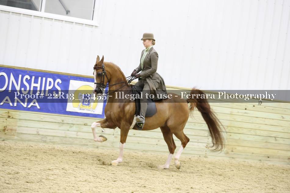 Proof 22R13_13455
