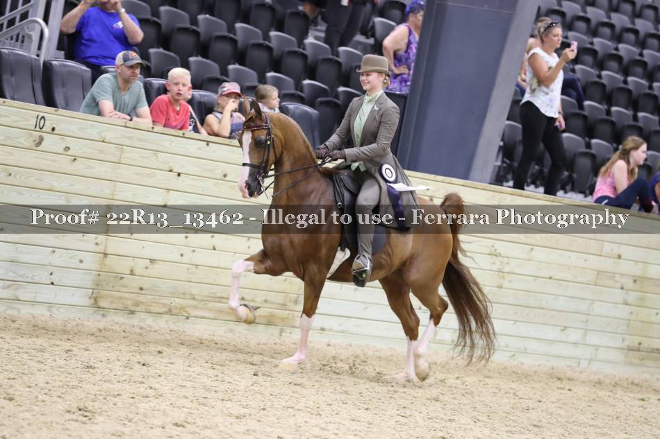 Proof 22R13_13462