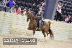22R13_13462 proof