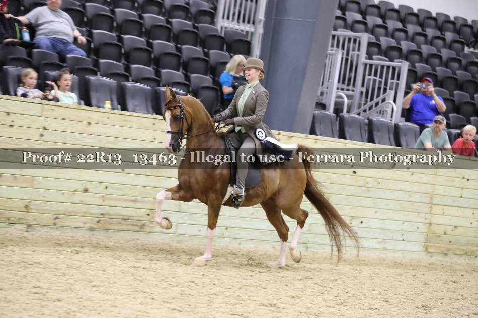 Proof 22R13_13463