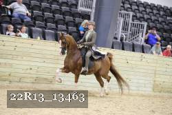 22R13_13463 proof