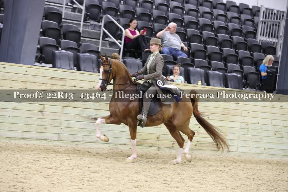 Proof 22R13_13464