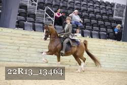 22R13_13464 proof