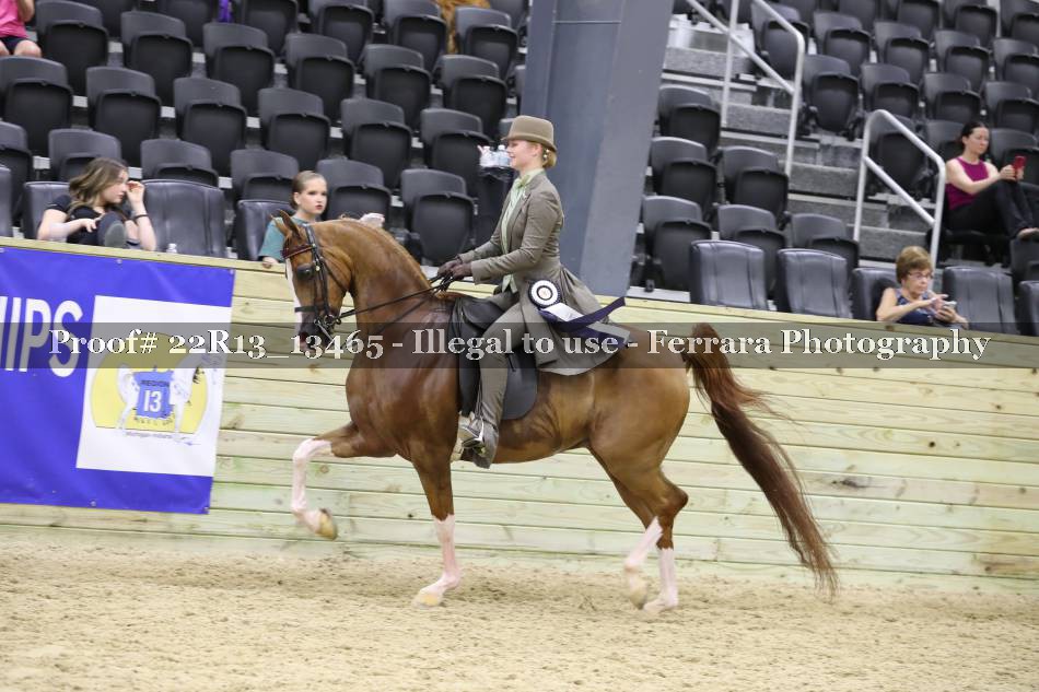 Proof 22R13_13465