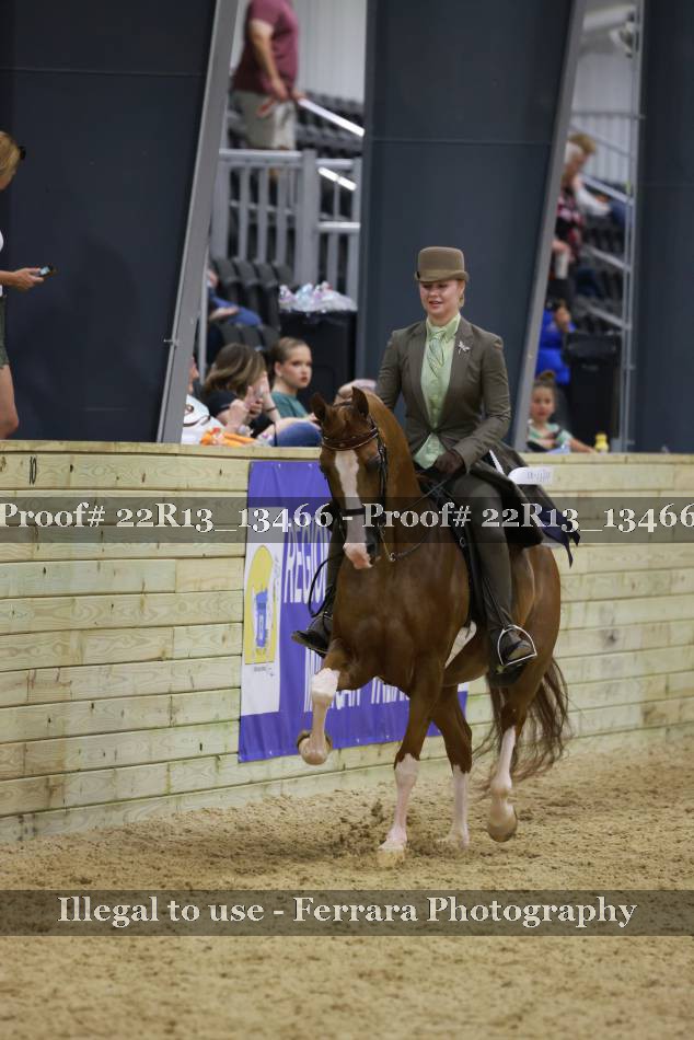 Proof 22R13_13466