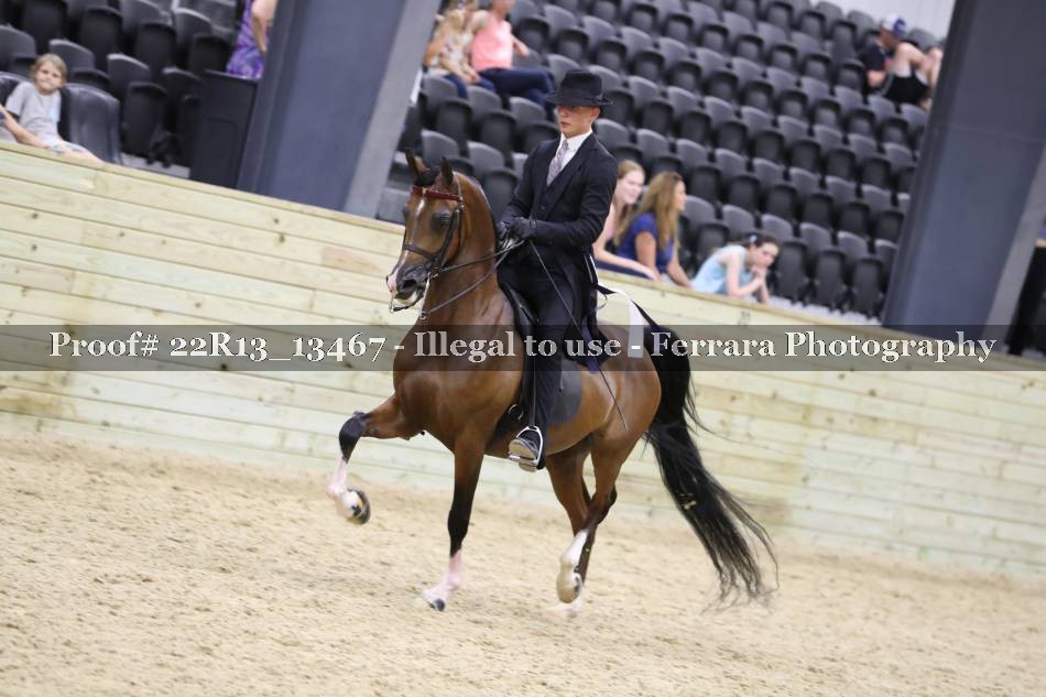 Proof 22R13_13467