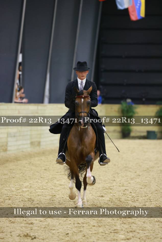 Proof 22R13_13471