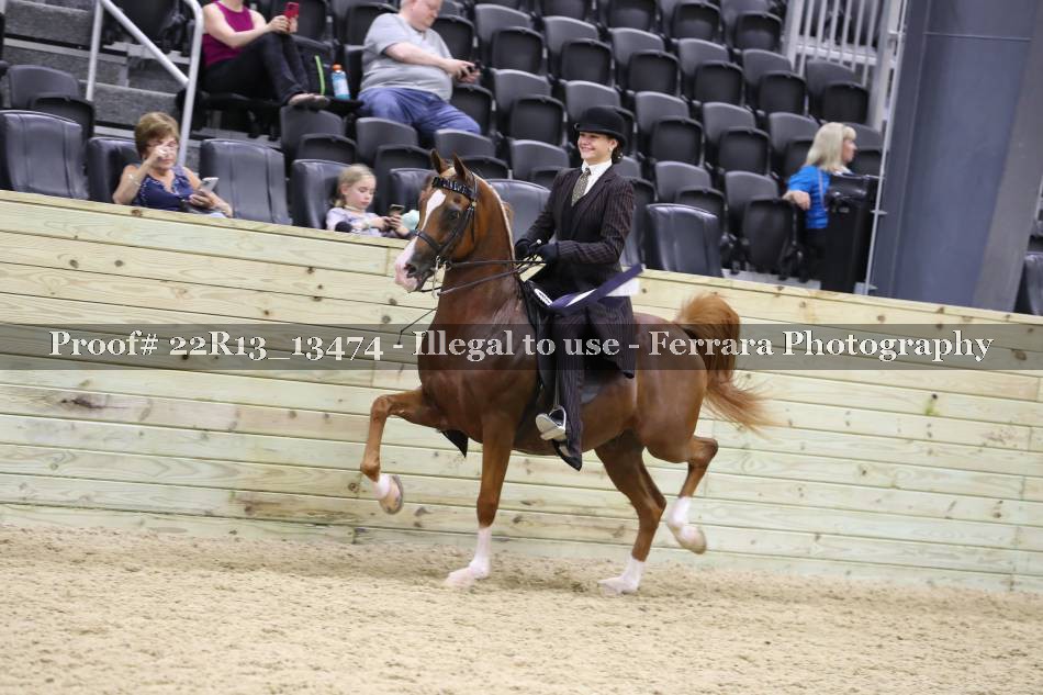 Proof 22R13_13474
