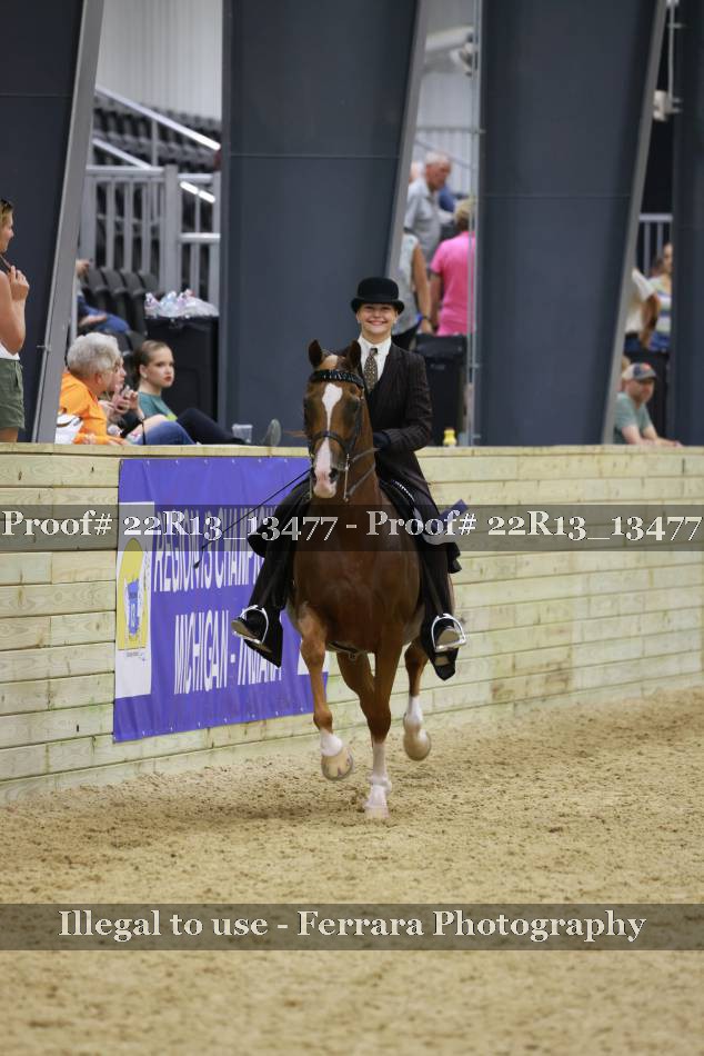 Proof 22R13_13477