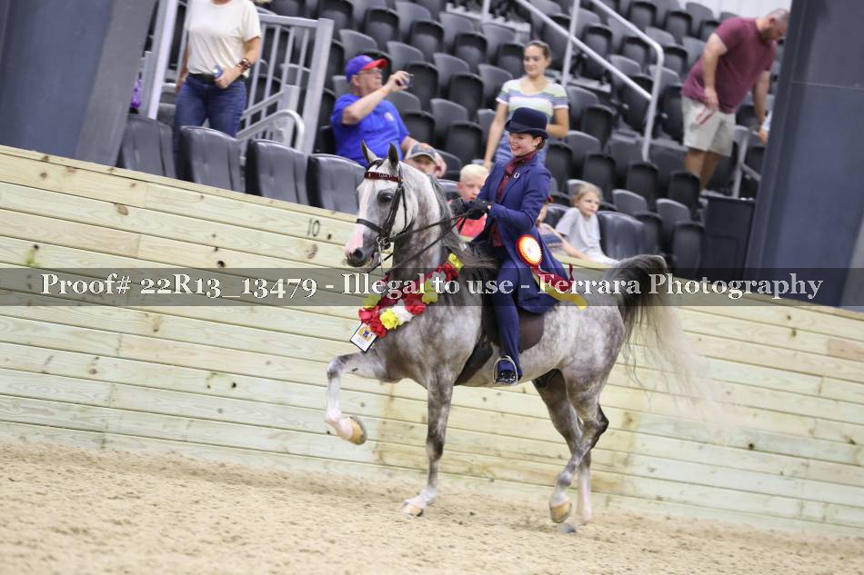 Proof 22R13_13479