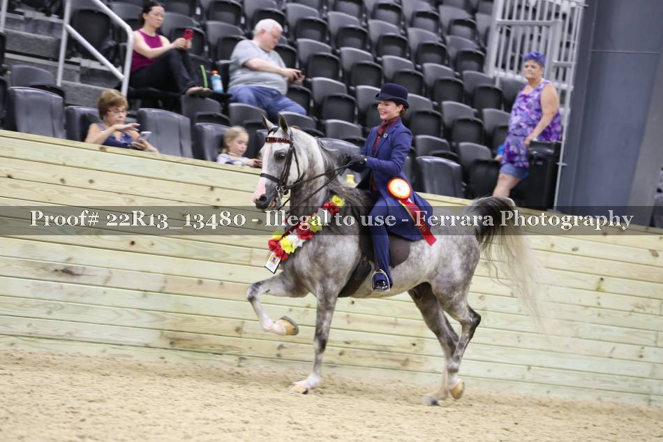 Proof 22R13_13480