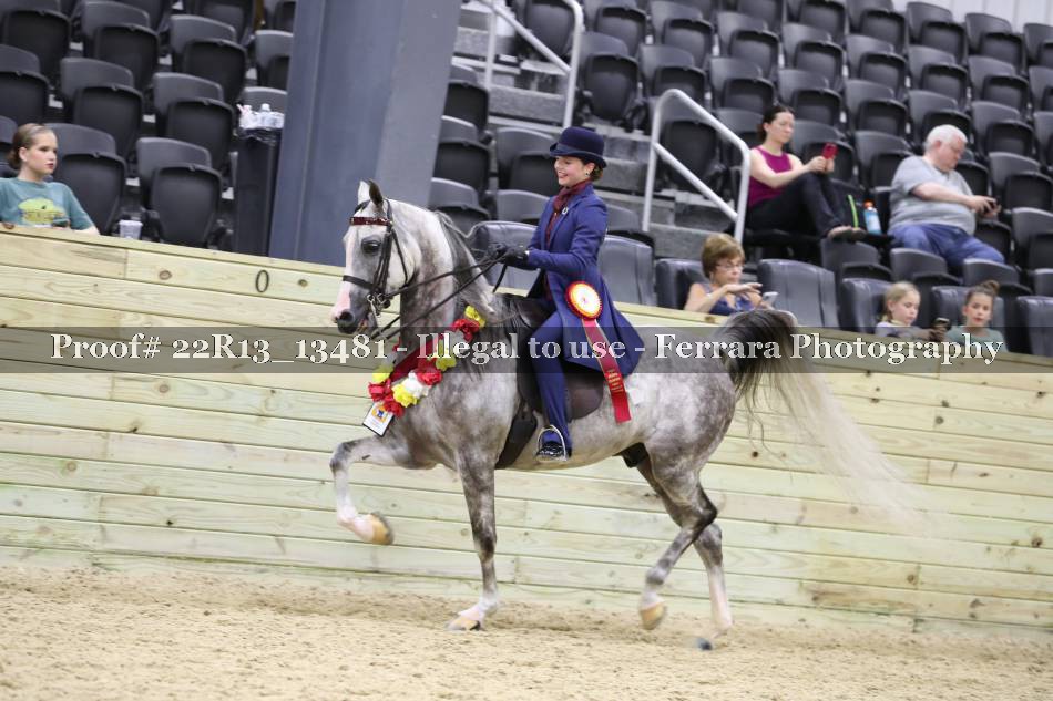 Proof 22R13_13481