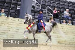 22R13_13481 proof